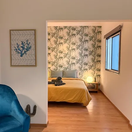 公寓 3bedroom Flat, 2 Bath In Plaza De La Feria 大加那利岛拉斯帕尔马斯